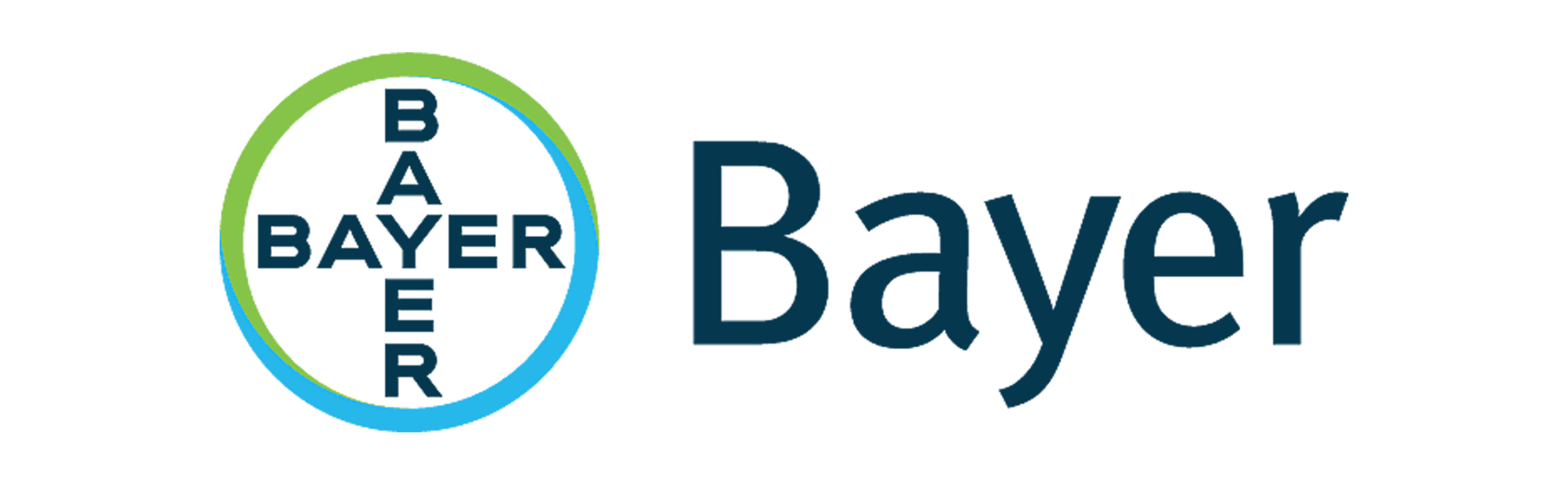 Logo 13