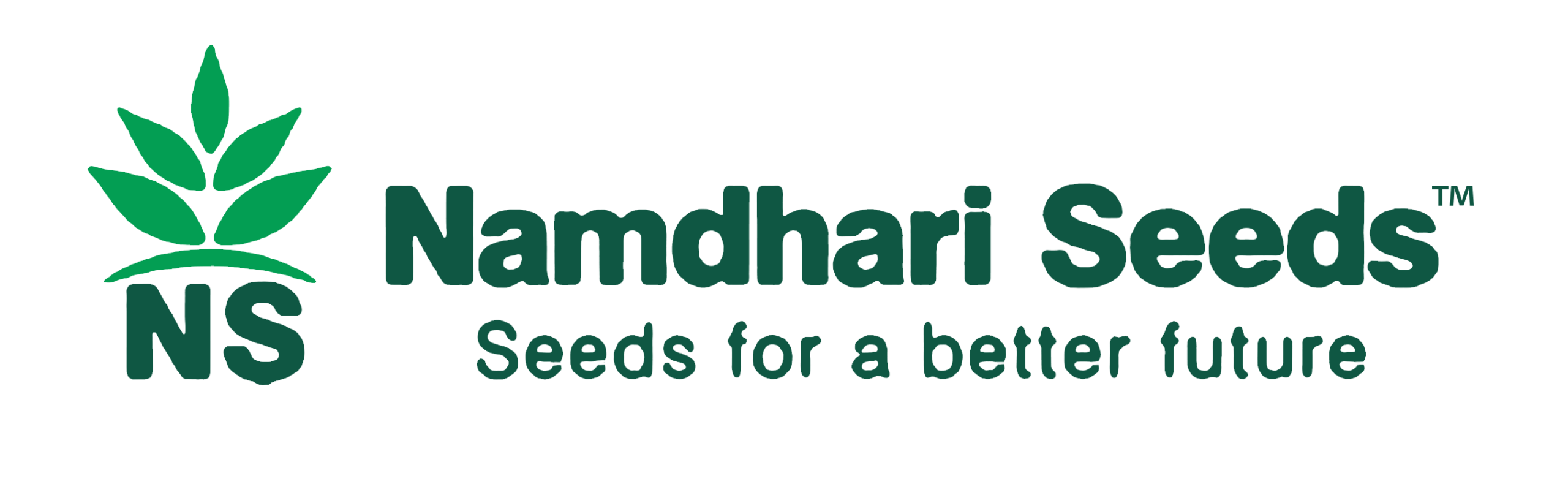 Logo 5